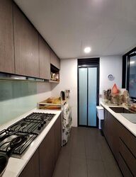 RiverParc Residence (D19), Condominium #458133831